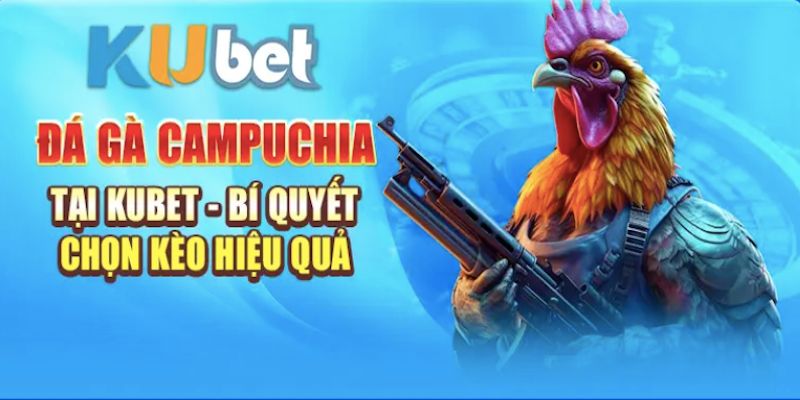 Đá Gà Campuchia Tại kubet - Đặt Cược Hiệu Quả Thắng Lớn