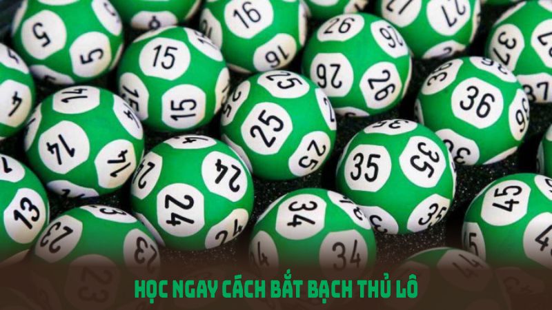  Học ngay cách bắt bạch thủ lô hiệu quả với các bước đơn giản dưới đây