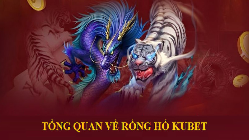 Tổng Quan Về Rồng Hổ KUBET